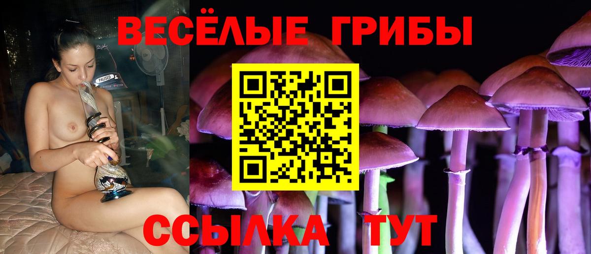 Галлюциногенные грибы Cubensis Ухта